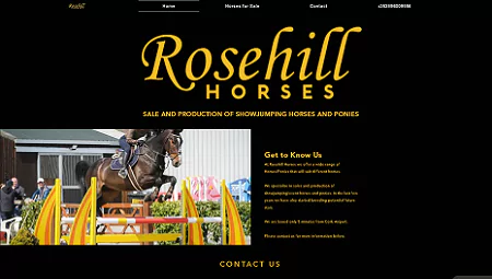 Rosehill Horses